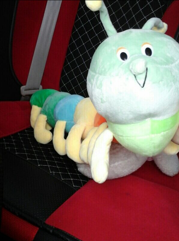 看了蛋友兑换的毛毛虫,心也痒了_PC蛋蛋